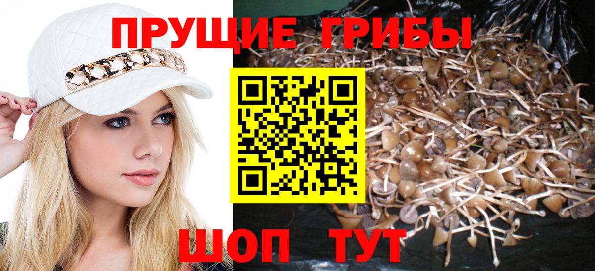Галлюциногенные грибы Magic Shrooms Кольчугино