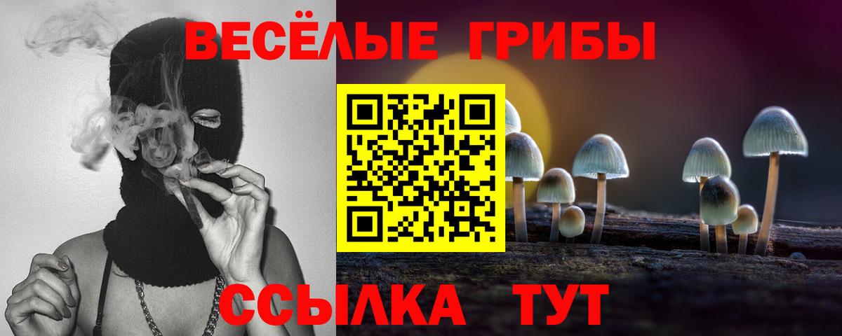 Псилоцибиновые грибы ЛСД  Псилоцибиновые грибы Psilocybe  Вход с VPN  Кольчугино 